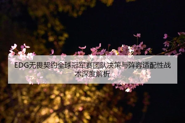 EDG无畏契约全球冠军赛团队决策与阵容适配性战术深度解析