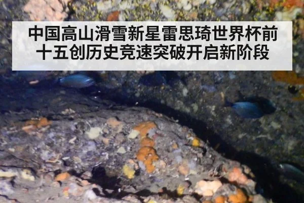 中国高山滑雪新星雷思琦世界杯前十五创历史竞速突破开启新阶段